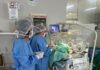Projeto leva laserterapia às UTIs neonatais do DF