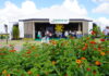 AgroBrasília 2026 terá nove circuitos tecnológicos com soluções para aumentar a produção sustentável
