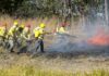Blitz educativa no Riacho Fundo II reforça prevenção aos incêndios florestais no período de seca