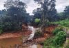 Recuperação da Bacia do Rio Melchior terá projeto de R$ 8 milhões