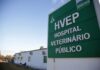 Aberto chamamento público para gestão do Serviço Veterinário Público do DF
