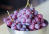 Feira Nacional da Uva e do Vinho promete nove dias de cultura e gastronomia