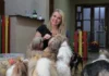 Férias de julho aumentam procura por hotéis para pets no DF