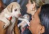 Campanha de castração de cães e gatos gratuita oferece 1,8 mil vagas na próxima semana