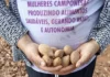 Terra, cuidado e autonomia pautam cooperativas femininas no DF