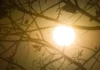 Após dia mais quente do ano, Inmet prevê mais calorão no DF neste domingo