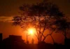 Primavera na porta! Nova estação começa na noite desta terça-feira (22/9)